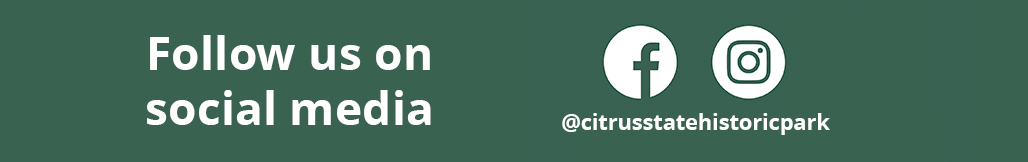 Social Media Pages